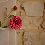 Villa Casale Bramasole Molino (Macerata)
