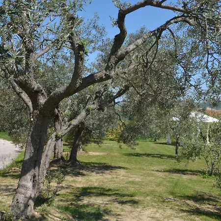 Casale Bramasole Molino (Macerata)