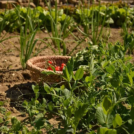 Casale Bramasole * Molino (Macerata)