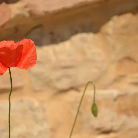 Casale Bramasole Molino (Macerata)