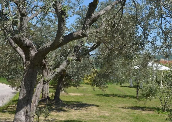 Casale Bramasole Molino (Macerata)