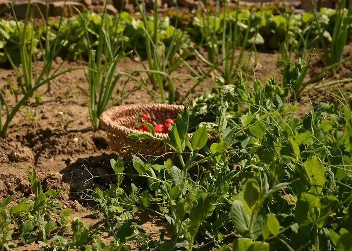 Casale Bramasole * Molino (Macerata)