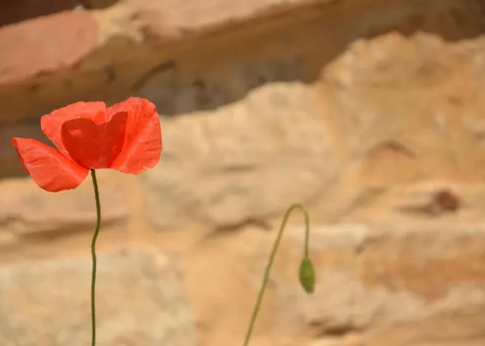 Casale Bramasole Molino (Macerata)