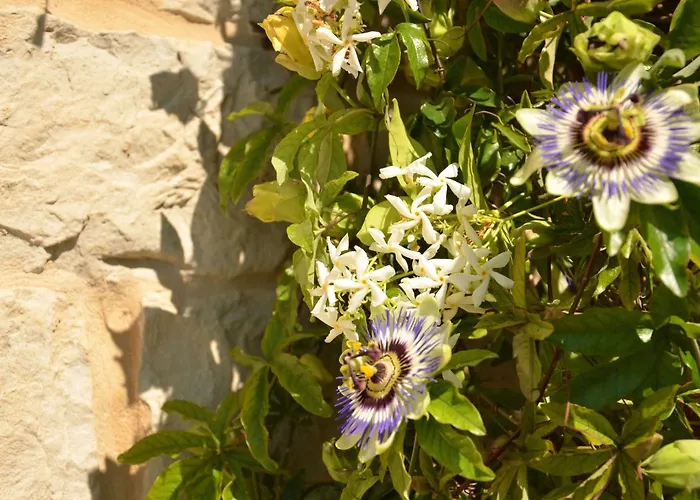 빌라 Casale Bramasole