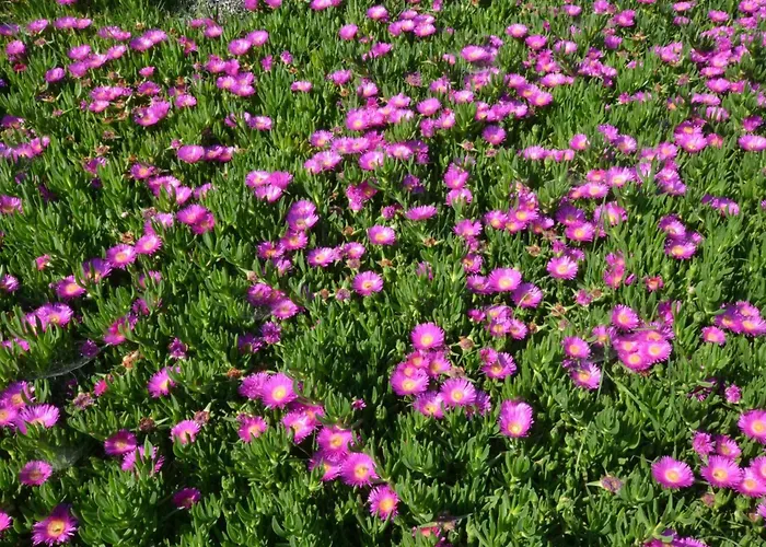 Casale Bramasole 빌라 Molino (Macerata)